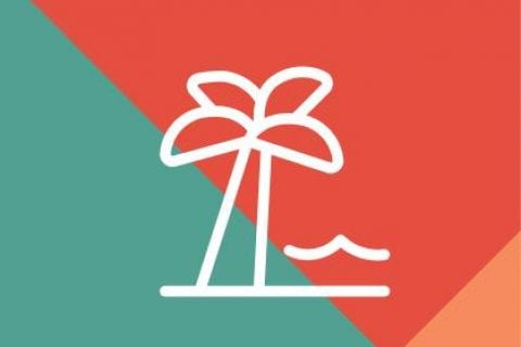 Palm tree icon on patterned background