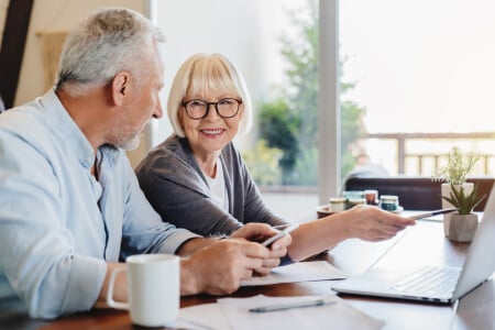 Elderly couple on the computer