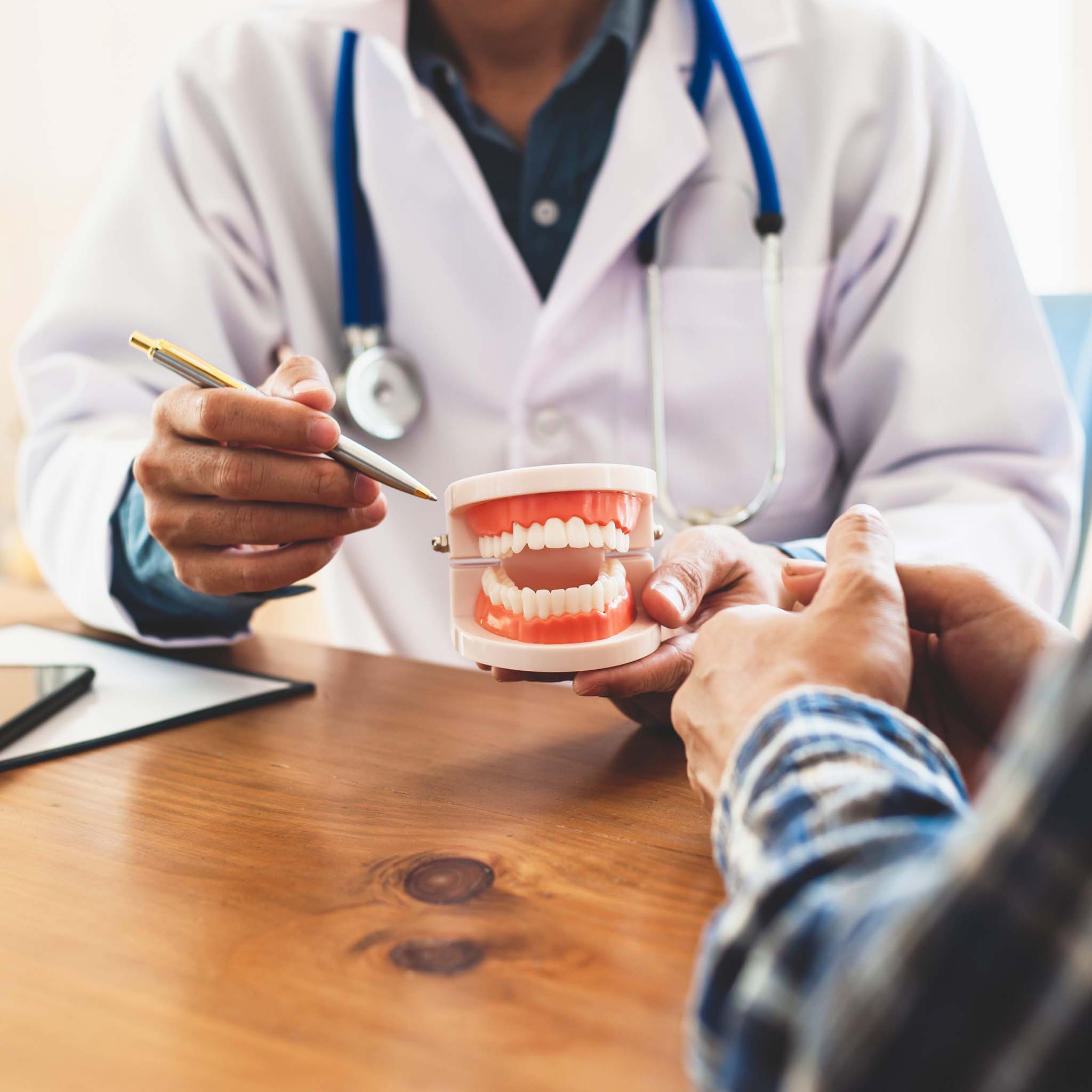 Dentist showing a teeth mold to a patient