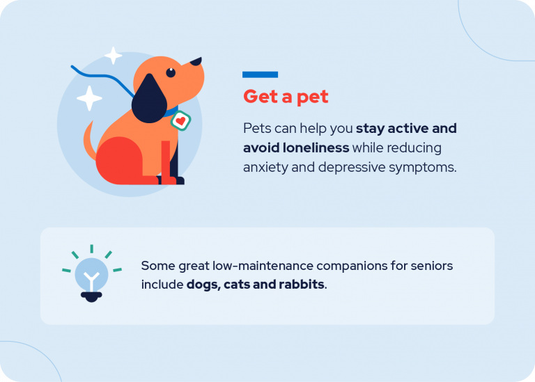 Get a pet graphic