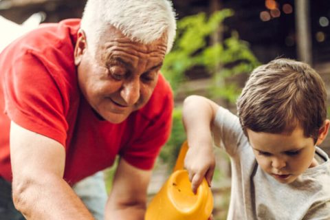 Grandson helps his grandfather plant in the garden