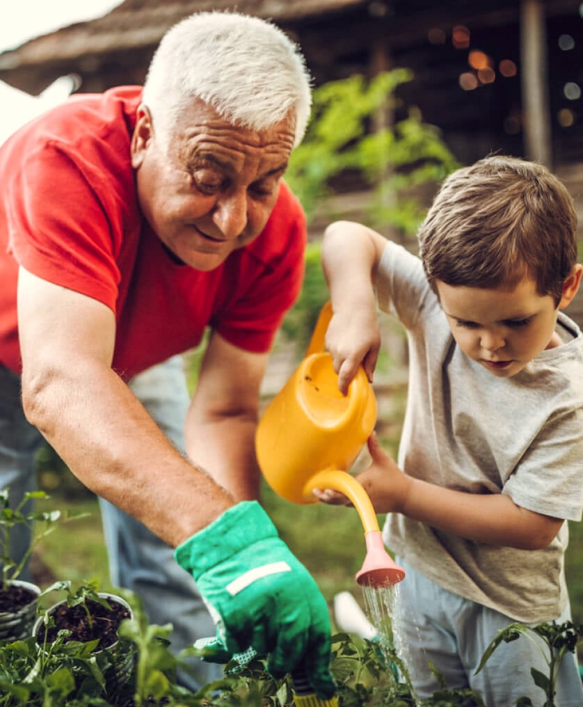 Grandson helps his grandfather plant in the garden