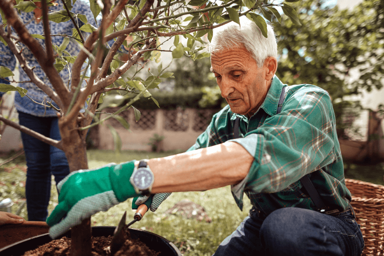 Senior man planting a tree