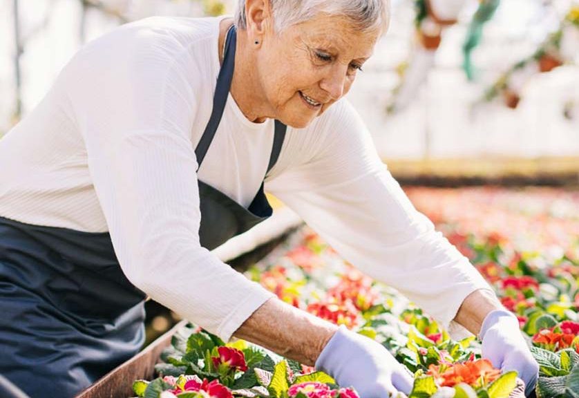 a senior woman at work tending the flowers at a garden center